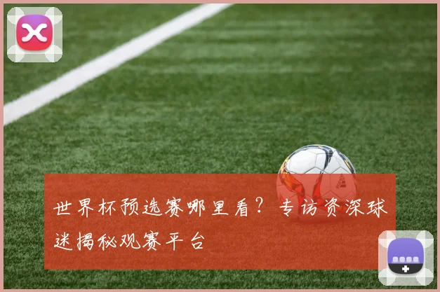 世界杯预选赛哪里看？专访资深球迷揭秘观赛平台