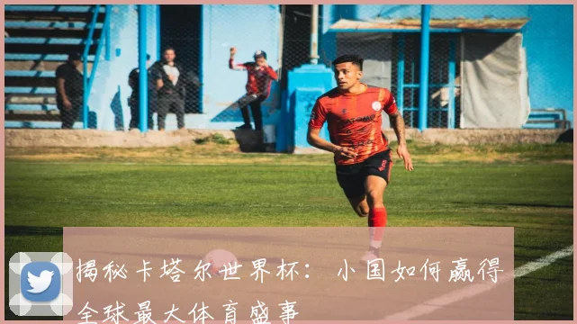揭秘卡塔尔世界杯：小国如何赢得全球最大体育盛事
