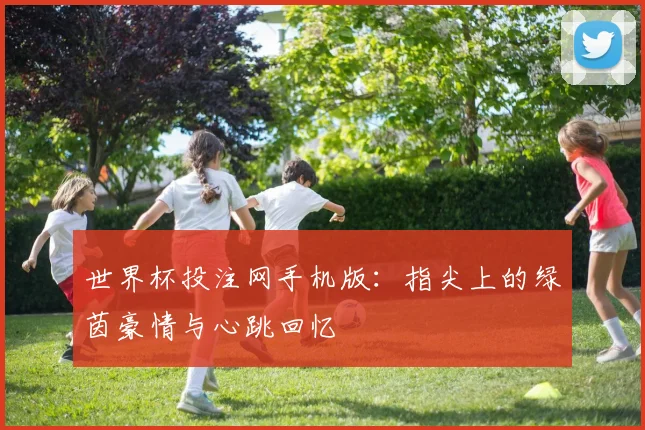 世界杯投注网手机版：指尖上的绿茵豪情与心跳回忆