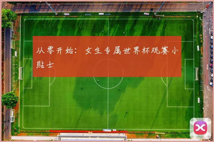 从零开始：女生专属世界杯观赛小贴士