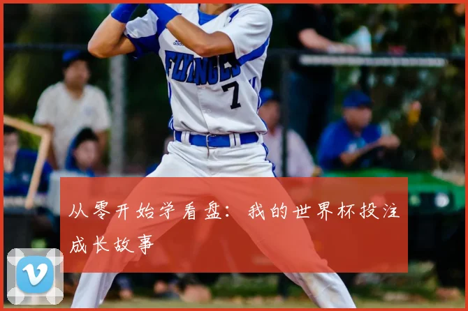 从零开始学看盘：我的世界杯投注成长故事