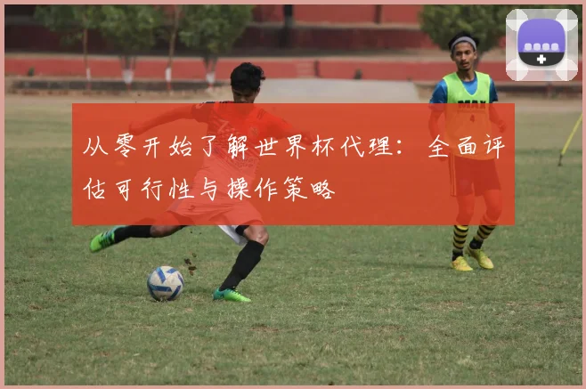 从零开始了解世界杯代理：全面评估可行性与操作策略